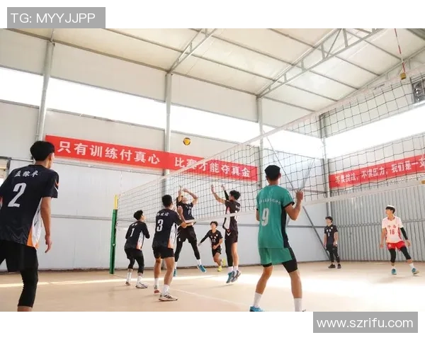 上海排球队的实力分析与未来发展方向探讨